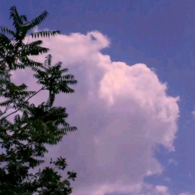 传世霸业官方手游下载